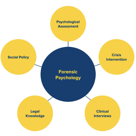 What Is Forensic Psychology? What You Need To Know About The Field